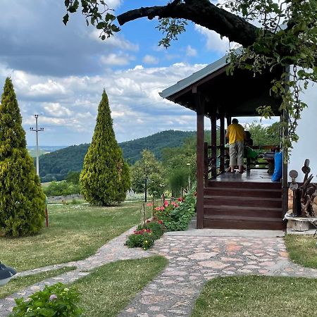 Etno Selo Moj Zavicaj Villa Gornji Milanovac Eksteriør billede