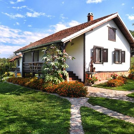 Etno Selo Moj Zavicaj Villa Gornji Milanovac Eksteriør billede