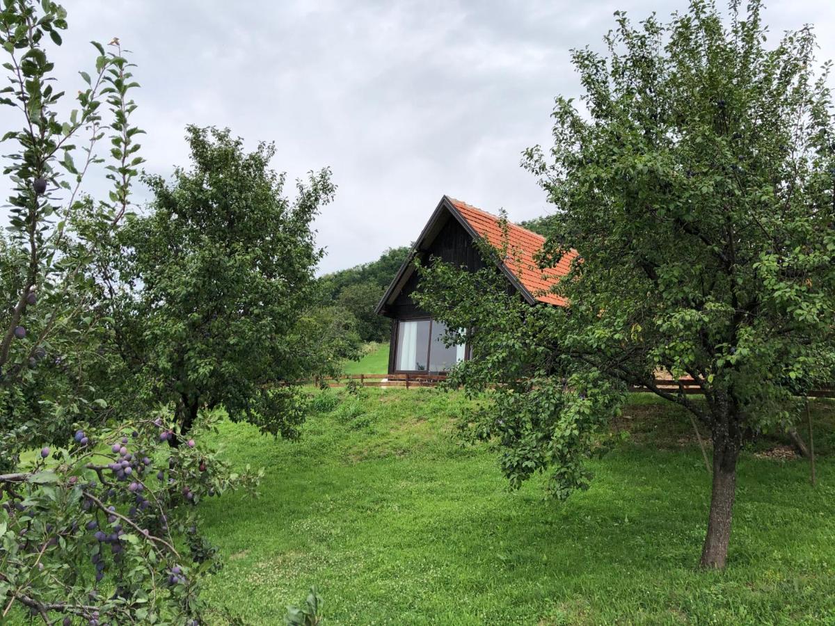 Etno Selo Moj Zavicaj Villa Gornji Milanovac Eksteriør billede