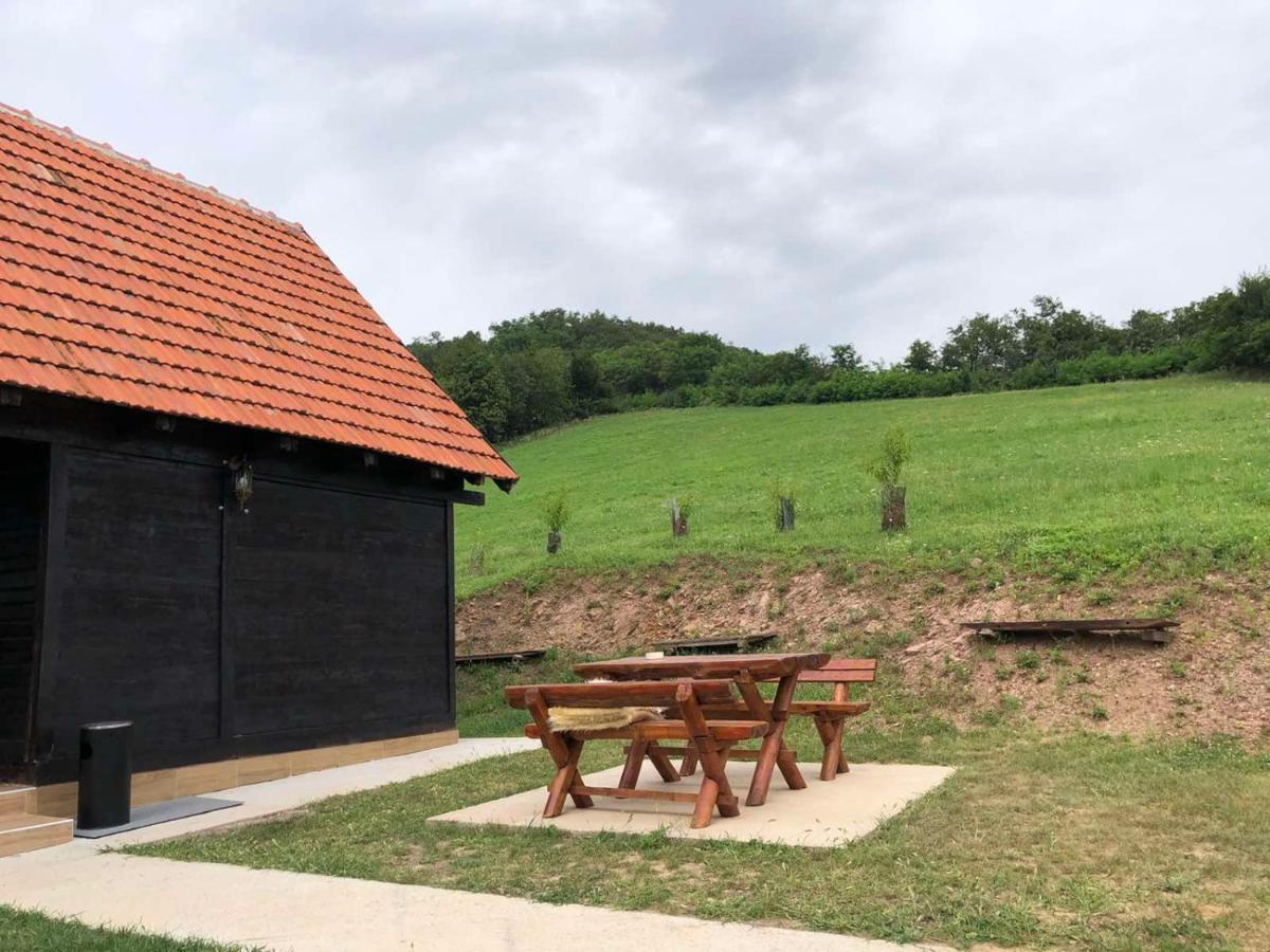 Etno Selo Moj Zavicaj Villa Gornji Milanovac Eksteriør billede