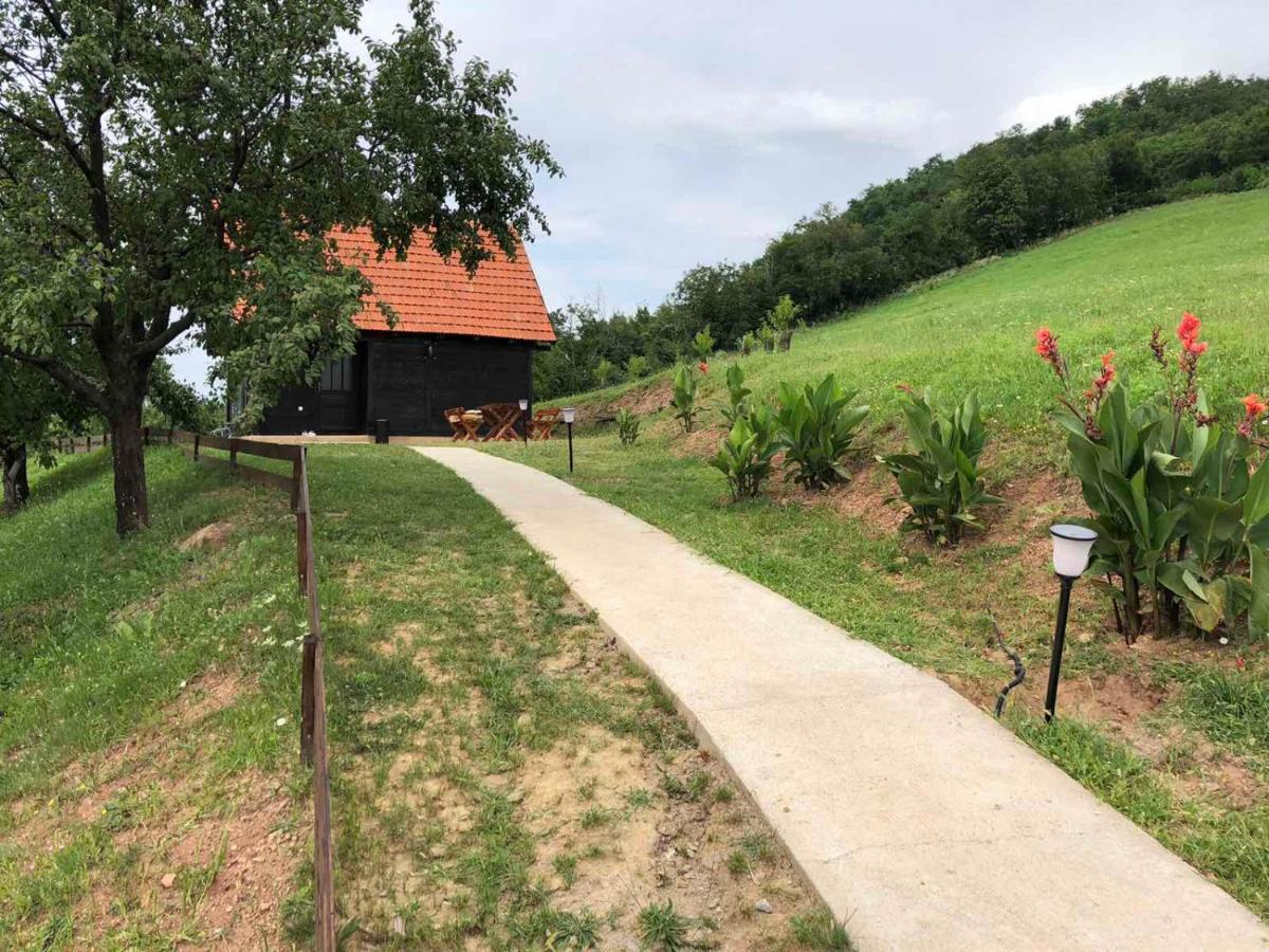 Etno Selo Moj Zavicaj Villa Gornji Milanovac Eksteriør billede