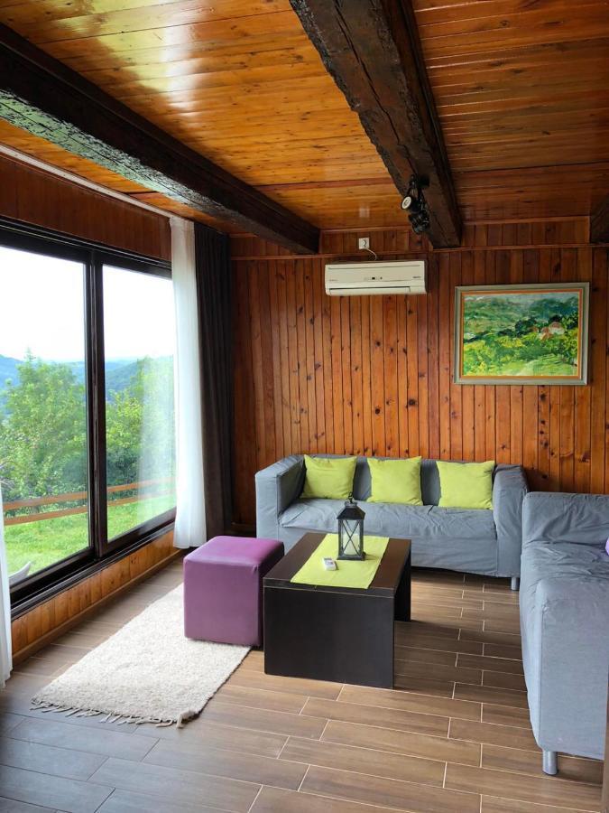 Etno Selo Moj Zavicaj Villa Gornji Milanovac Eksteriør billede