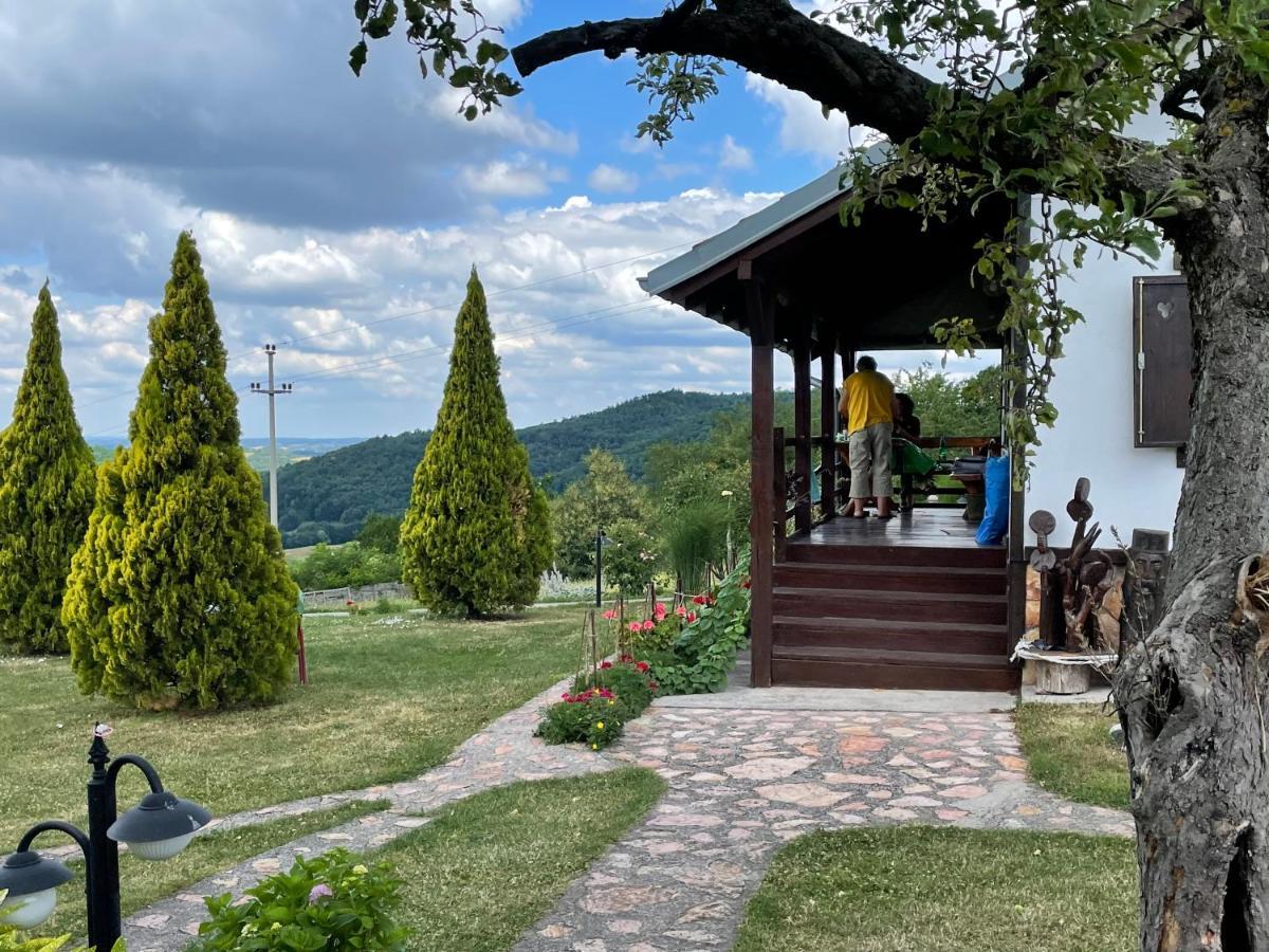 Etno Selo Moj Zavicaj Villa Gornji Milanovac Eksteriør billede
