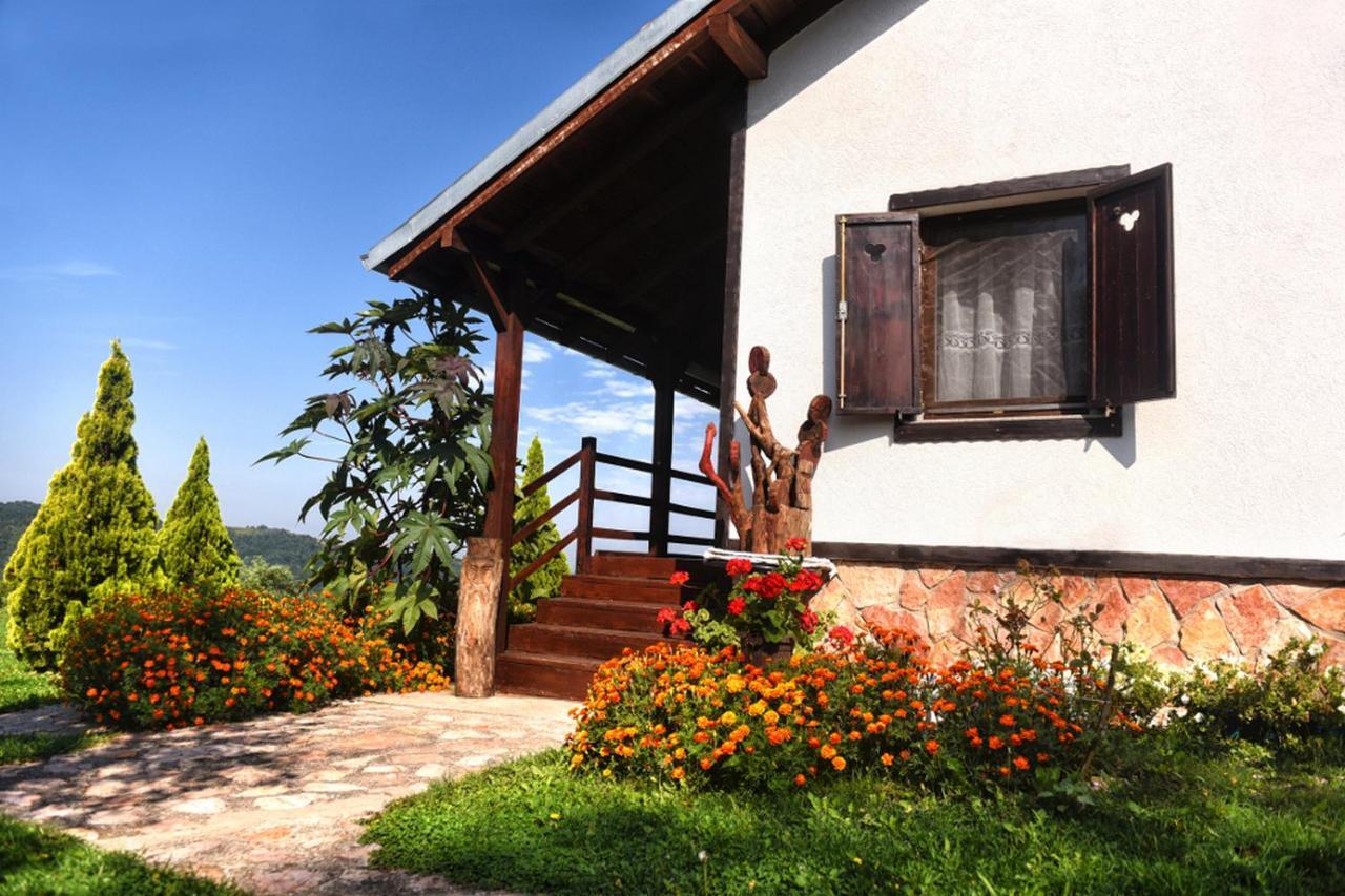 Etno Selo Moj Zavicaj Villa Gornji Milanovac Eksteriør billede