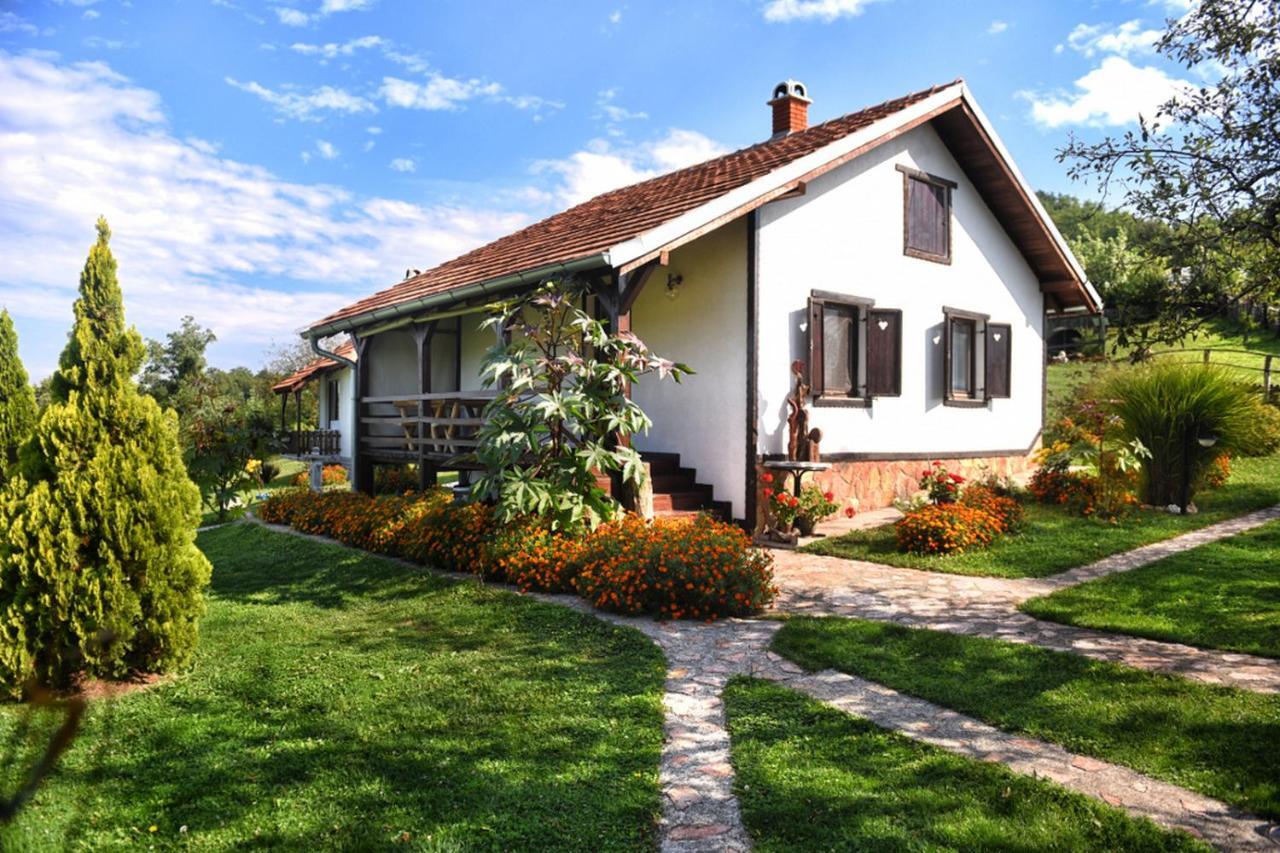 Etno Selo Moj Zavicaj Villa Gornji Milanovac Eksteriør billede