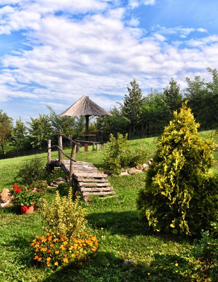 Etno Selo Moj Zavicaj Villa Gornji Milanovac Eksteriør billede
