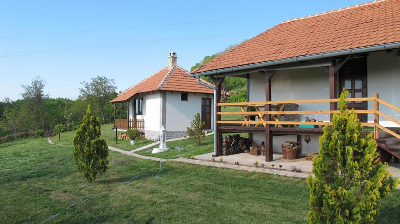 Etno Selo Moj Zavicaj Villa Gornji Milanovac Eksteriør billede