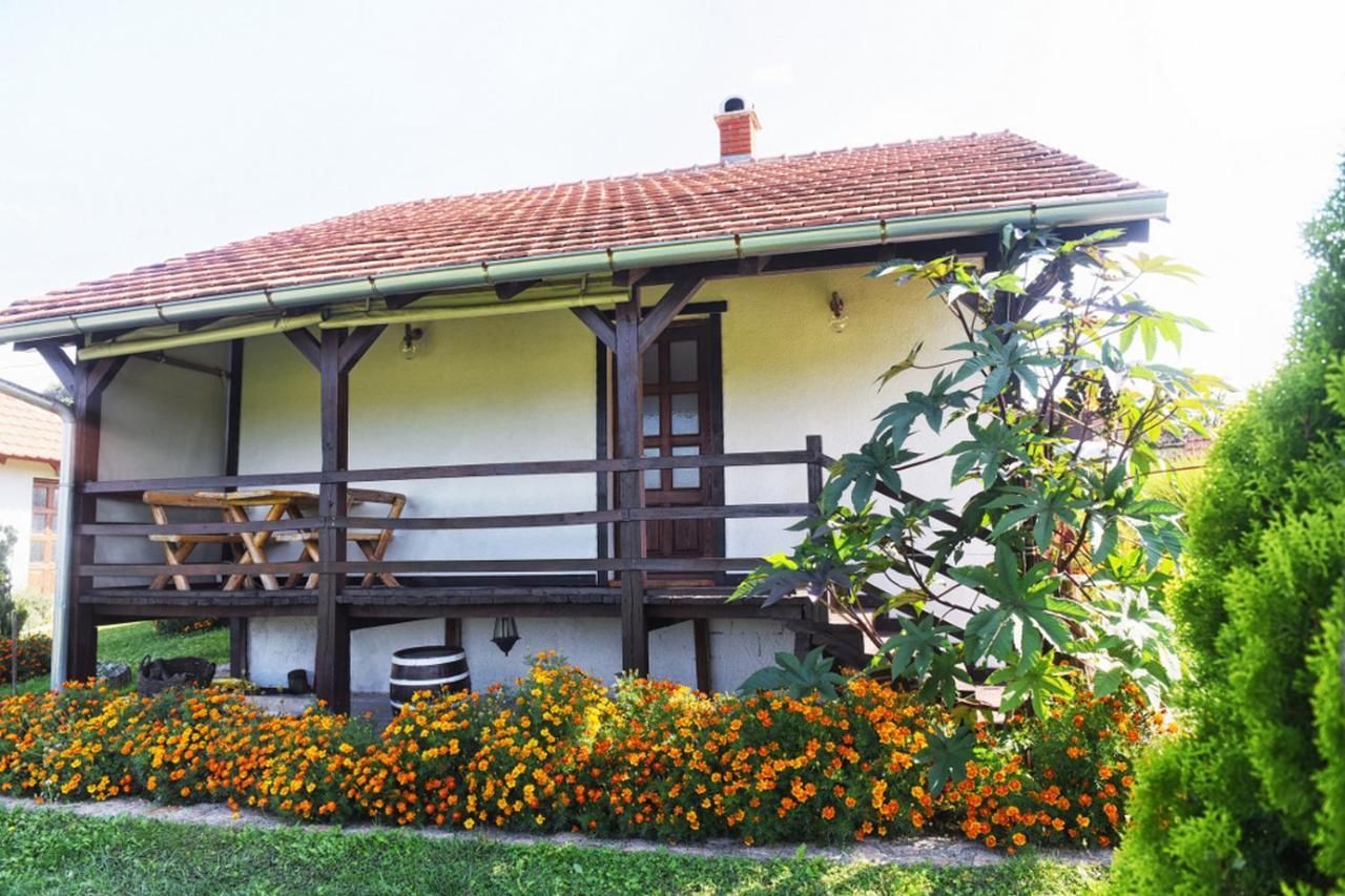 Etno Selo Moj Zavicaj Villa Gornji Milanovac Eksteriør billede