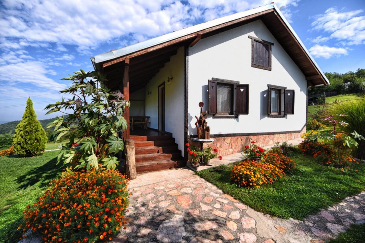 Etno Selo Moj Zavicaj Villa Gornji Milanovac Eksteriør billede